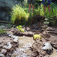 Bild zu LandArt - Gestalten in der Natur