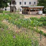 Klostergarten mit Gemüse- und Kräuteranbau